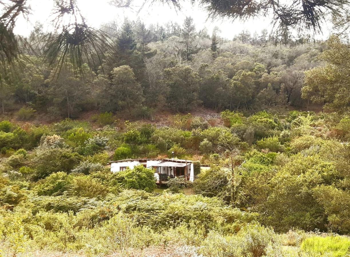Half Moon Hollow Eco Cottage Mossel Bay Exteriér fotografie